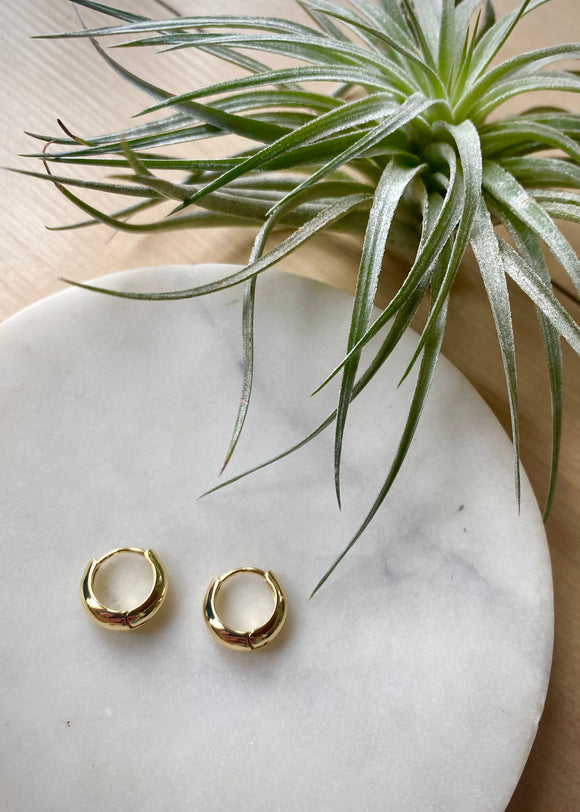 Small Chunky Hoops