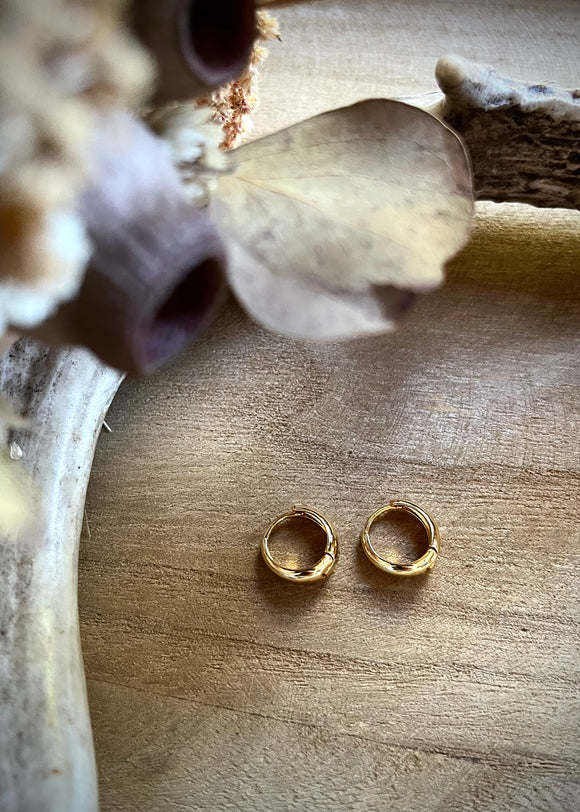 Small Chunky Hoops